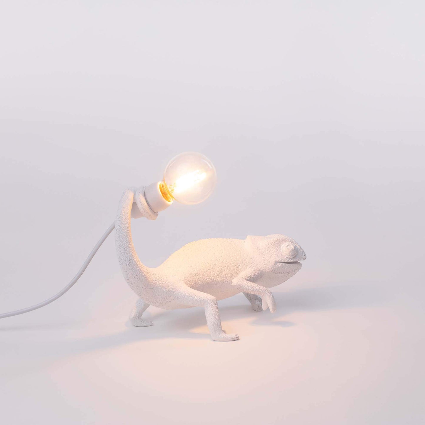 Chameleon Lamp Still USB