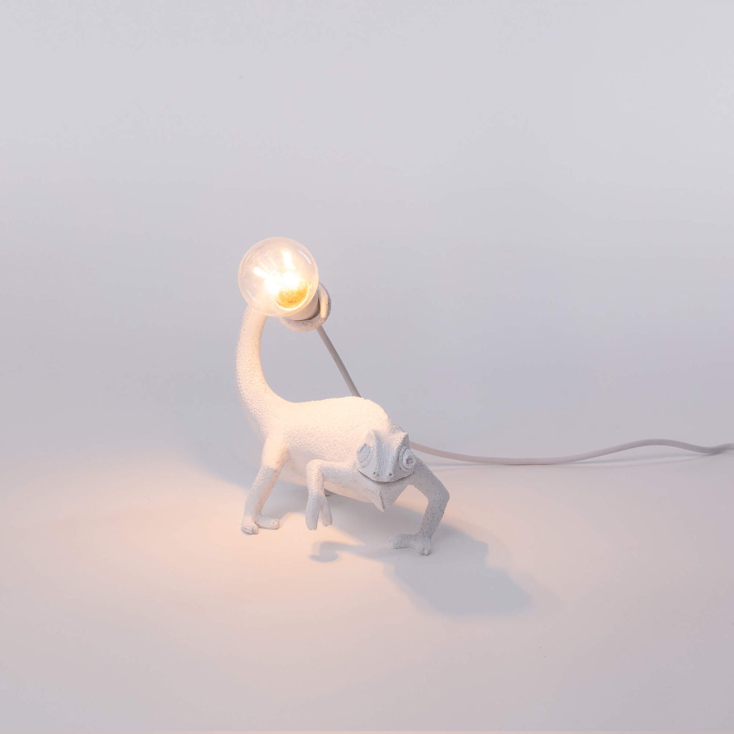 Chameleon Lamp Still USB