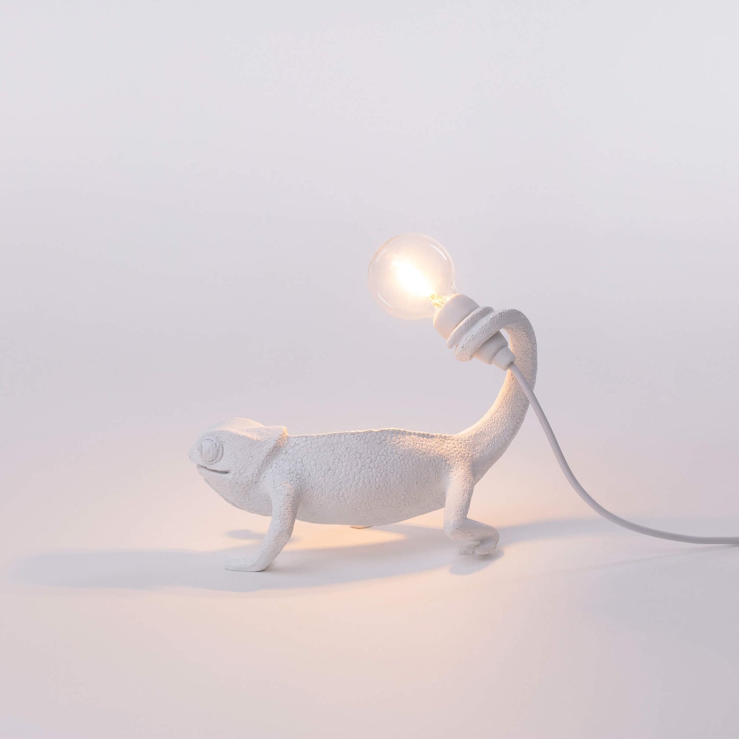 Chameleon Lamp Still USB