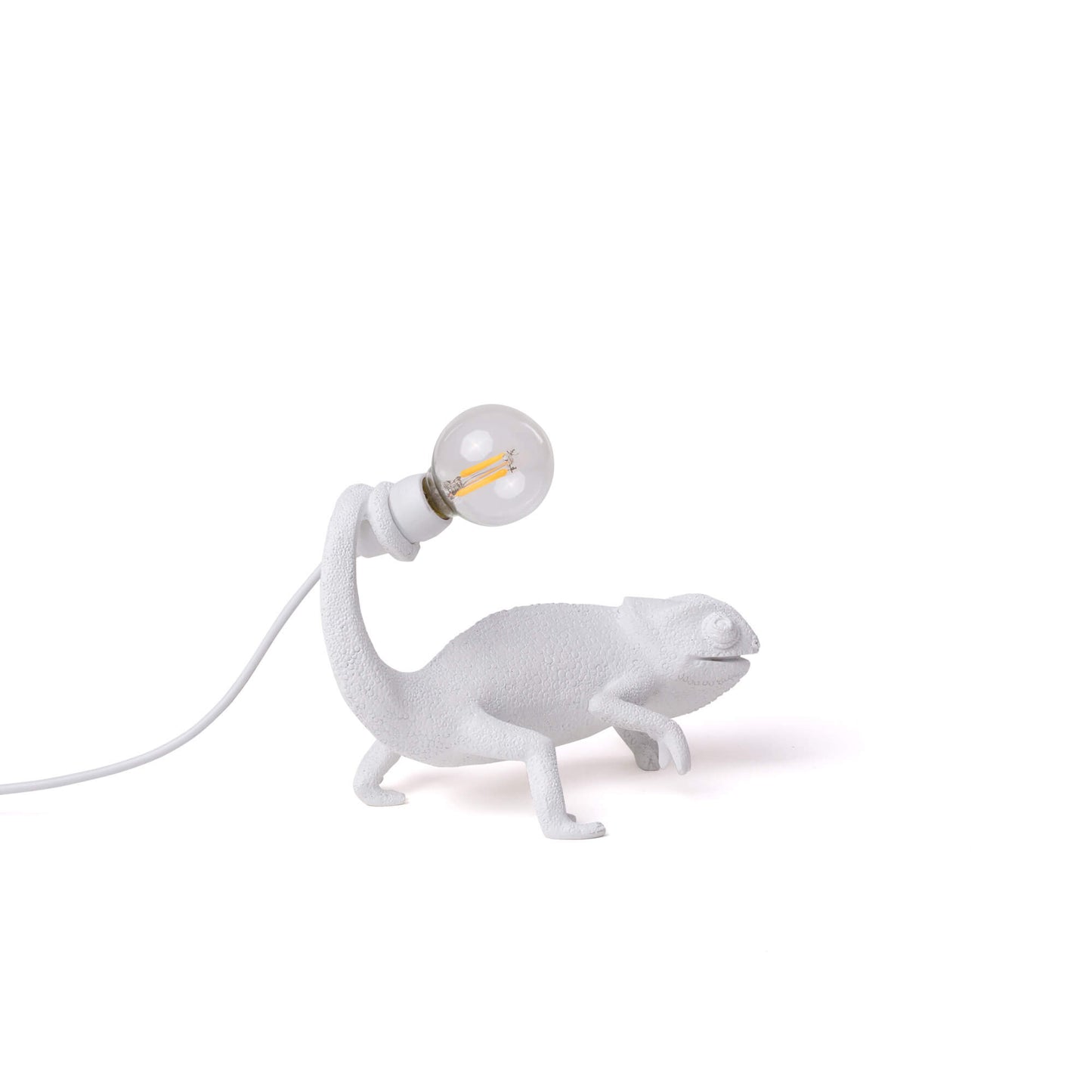 Chameleon Lamp Still USB