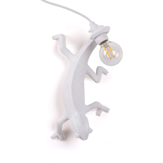 Chameleon Lamp Going Down USB