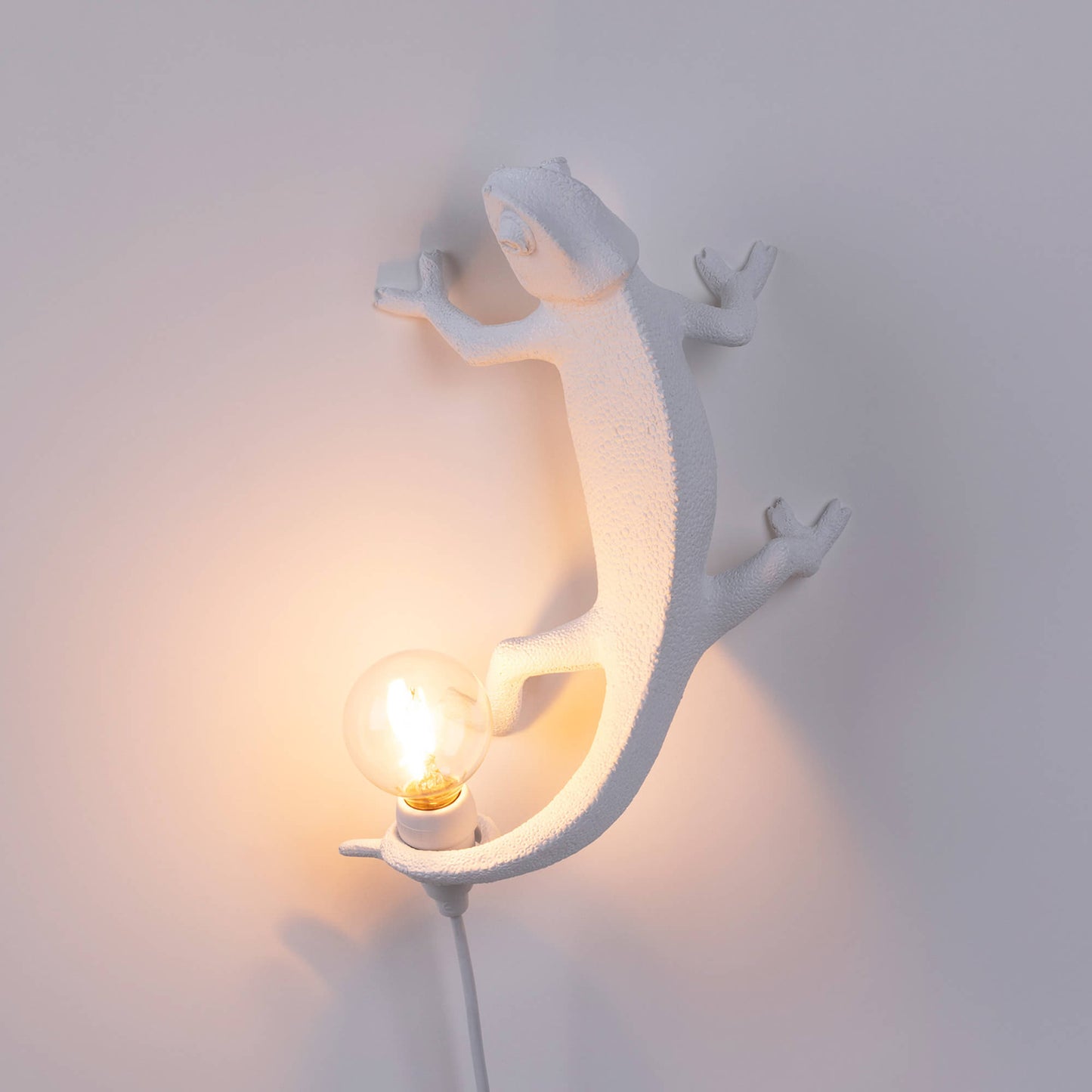 Chameleon Lamp Going Up USB