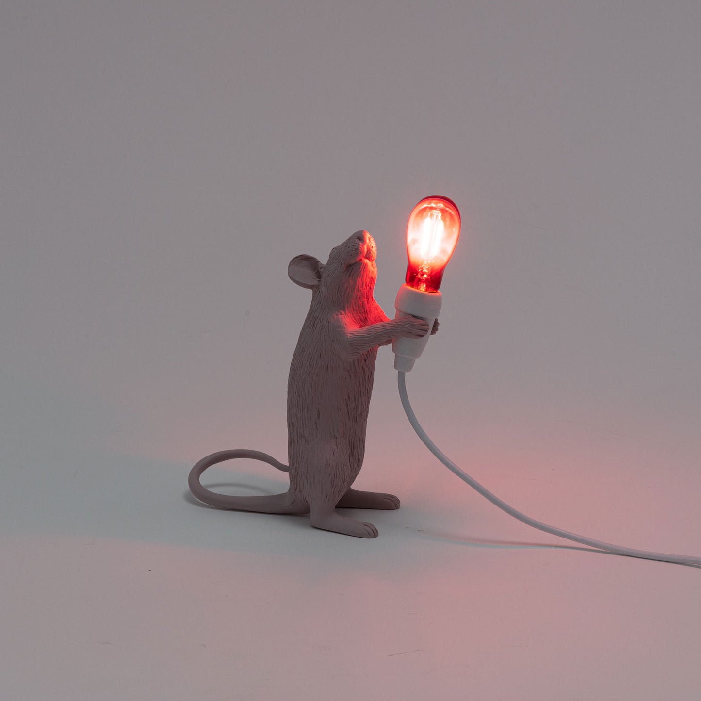 Mouse Lamp Step Love USB