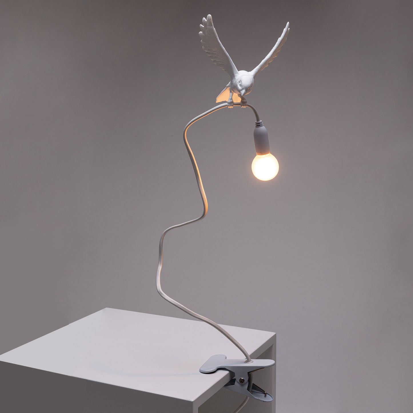 Sparrow Lamp with Clamp - Landing