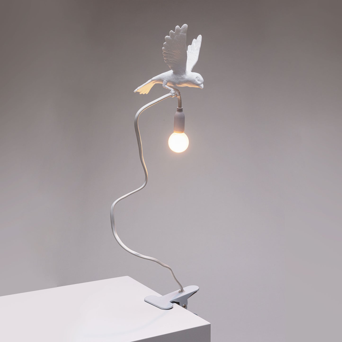 Sparrow Lamp with Clamp - Landing