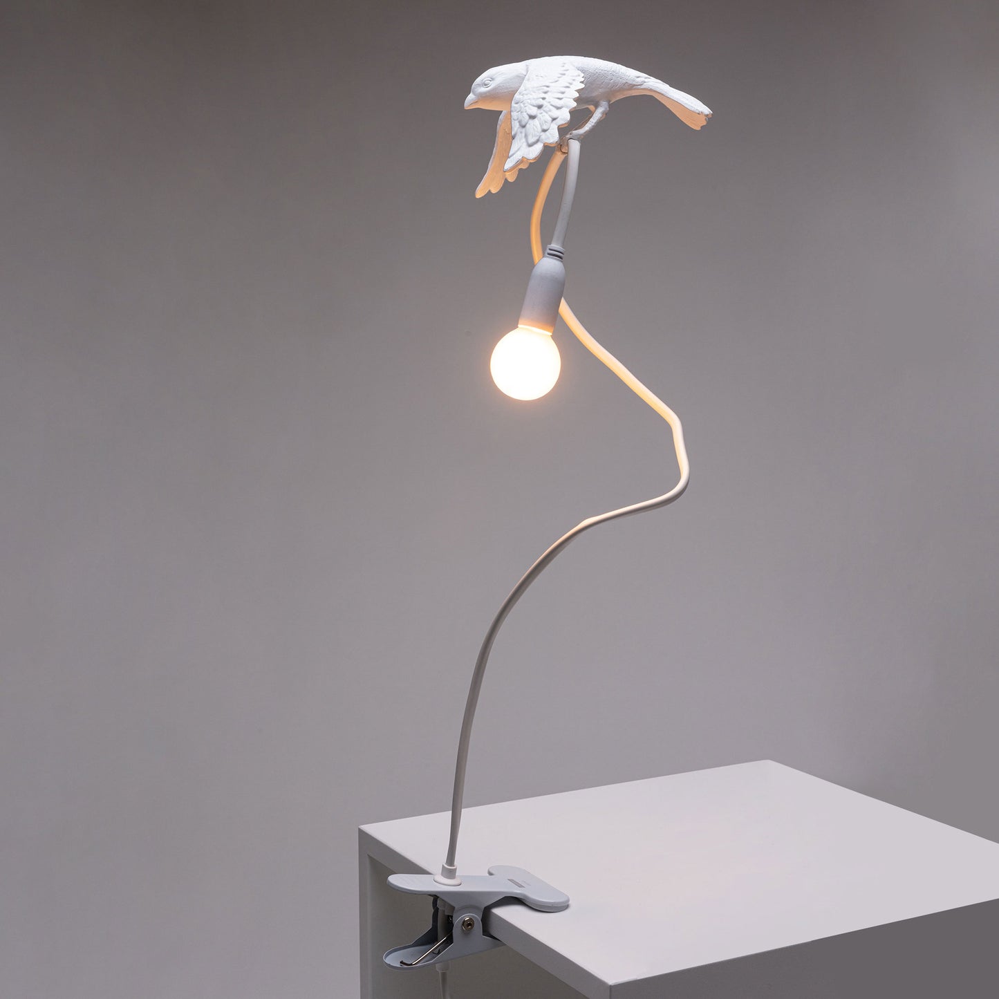 Sparrow Lamp with Clamp - Taking Off