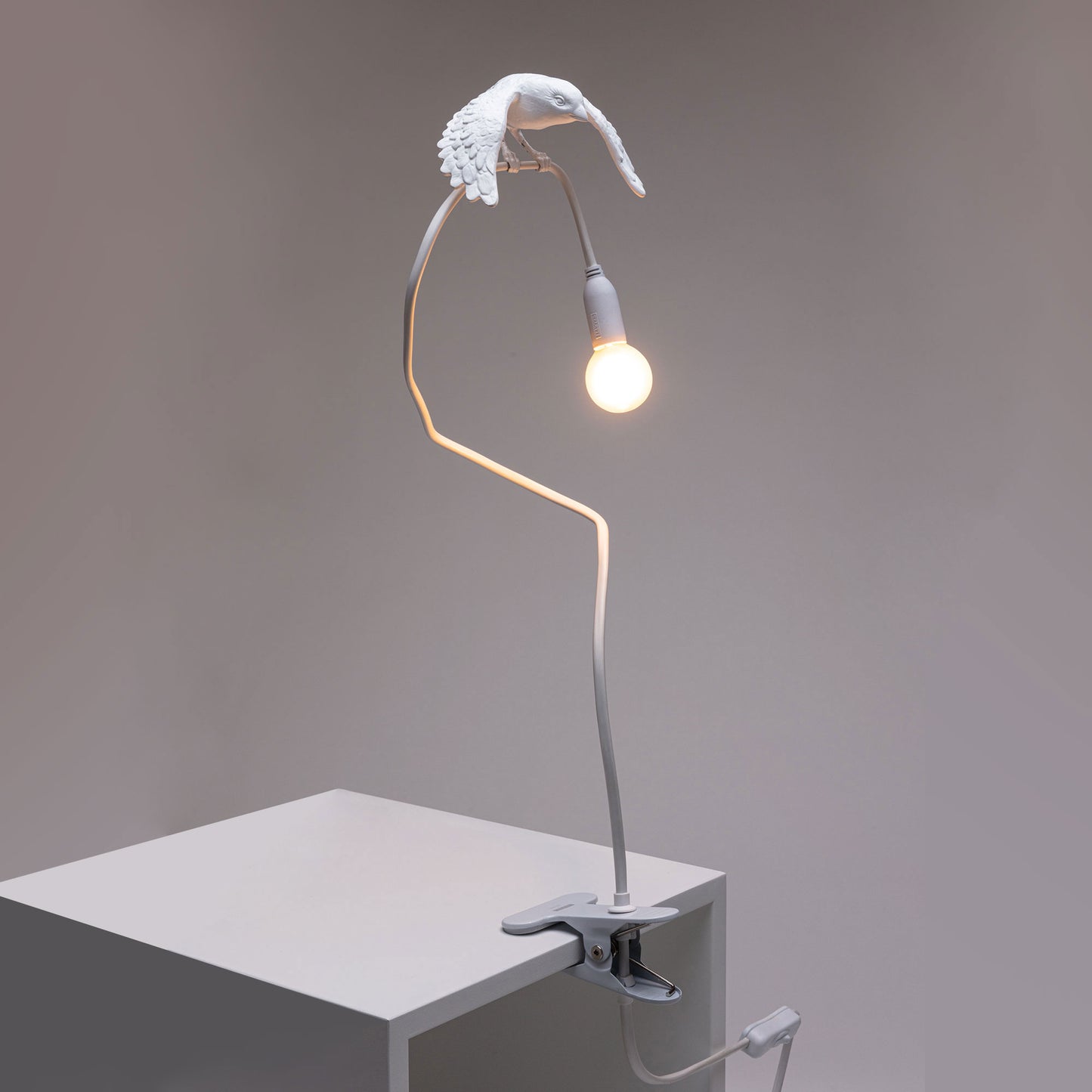 Sparrow Lamp with Clamp - Taking Off