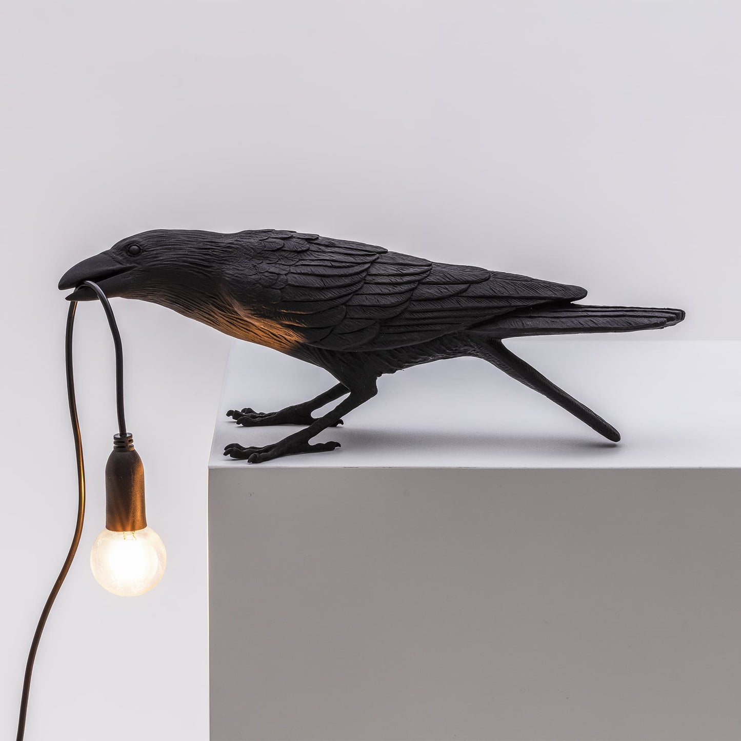 Bird Lamp Black Playing