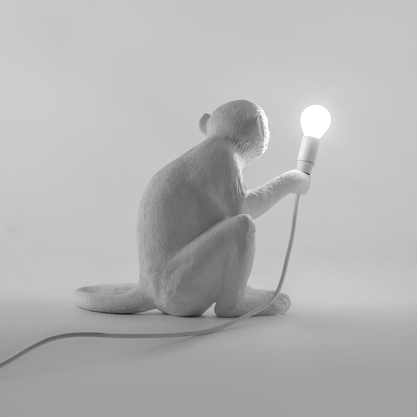 The Monkey Lamp Sitting Version