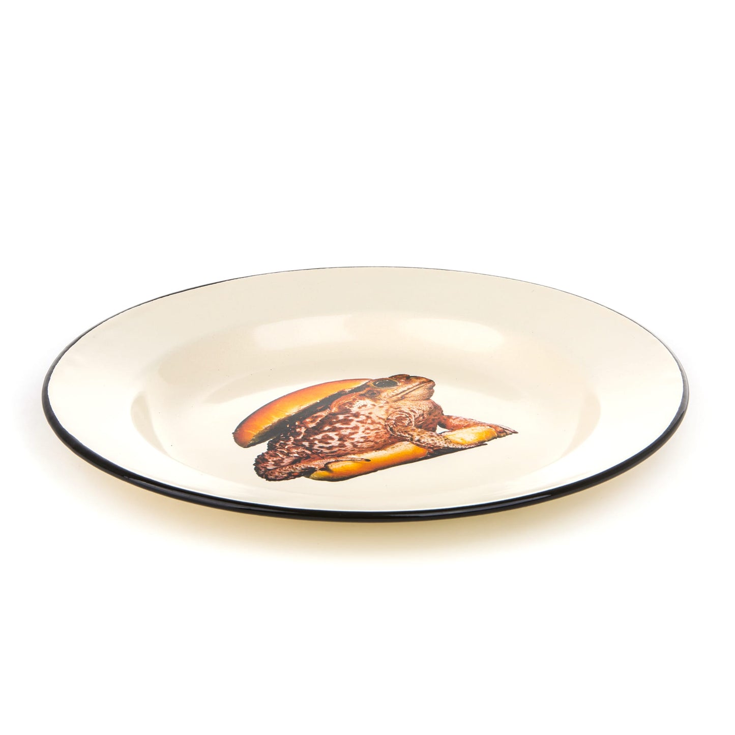 Enamel Plate Toad