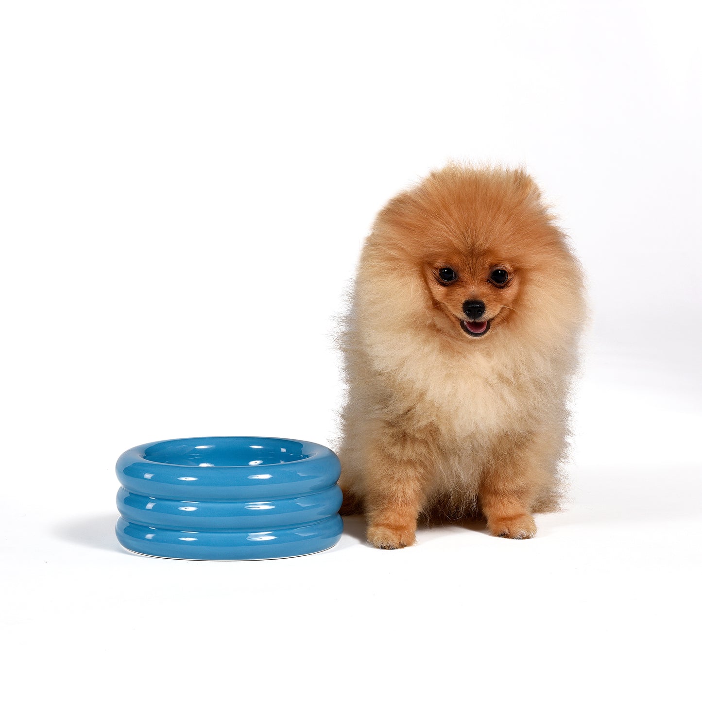 Ceramic bowl PETS (R)EVOLUTION DoggyMood